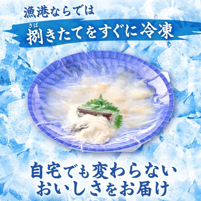 漁師お勧め！天然 とらふぐ てっさ（お刺身セット）2～3人前【宗像漁協】_HA0467