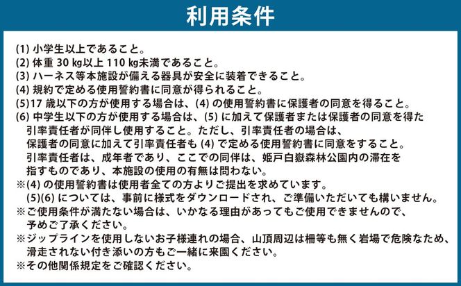 天空ジップライン ペア体験チケット 2枚 チケット ペア 体験 アクティビティ ジップライン 熊本県 上天草市