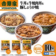 【定期便 2か月】吉野家 牛丼&牛焼肉丼&豚しょうが焼 10袋セット（冷凍） 牛丼 レトルト 非常食 防災食 お楽しみ 新潟