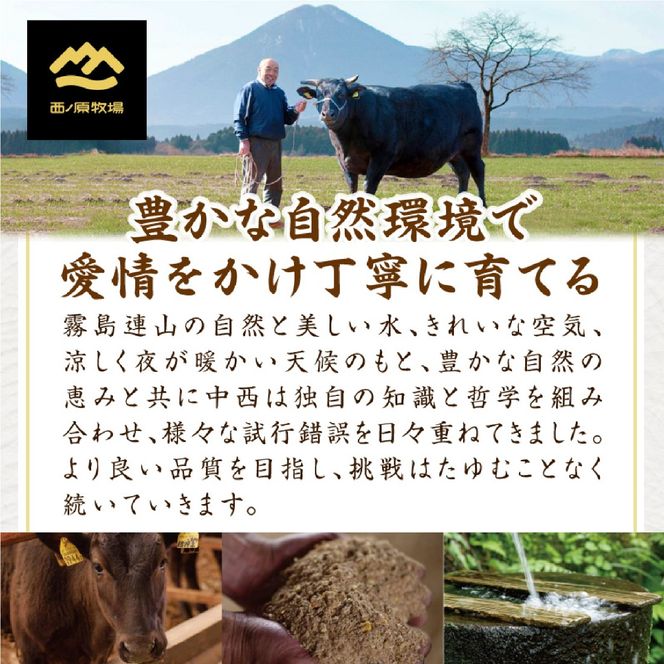 宮崎県西ノ原牧場・A4等級以上宮崎牛シャトーブリアン 400g（牛肉 黒毛和牛 宮崎牛 ステーキ ヒレ シャトーブリアン 希少部位 赤身 宮崎 A4 A5 ）
