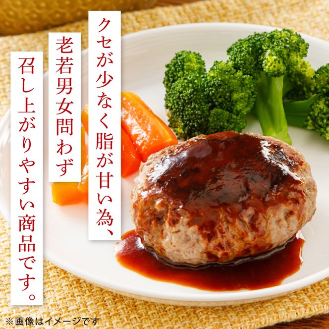 花園牛　BHTハンバーグ 180ｇ×3個【ハンバーグ 肉 お肉 贅沢 冷凍 茨城県 北茨城市】(BY002)