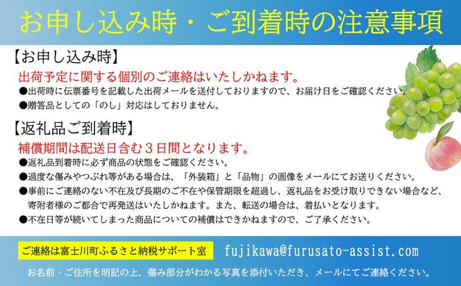 【2026年発送分 先行予約】【訳あり】シャインマスカット  1.8kg～2kg (3～6房) 【8月下旬以降発送予定】 訳アリ 訳あり品 シャイン マスカット ぶどう ブドウ 葡萄 徳用 家庭用 ご家庭用 旬 新鮮 約2kg 約1.8kg 約1.9kg くだもの 果物 フルーツ 山梨 やまなし 富士川町