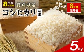 令和8年産 特別栽培米 コシヒカリ 白米 5kg 静岡県産 色彩選別済 食に意識高い方へオススメ 6ヶ月定期便