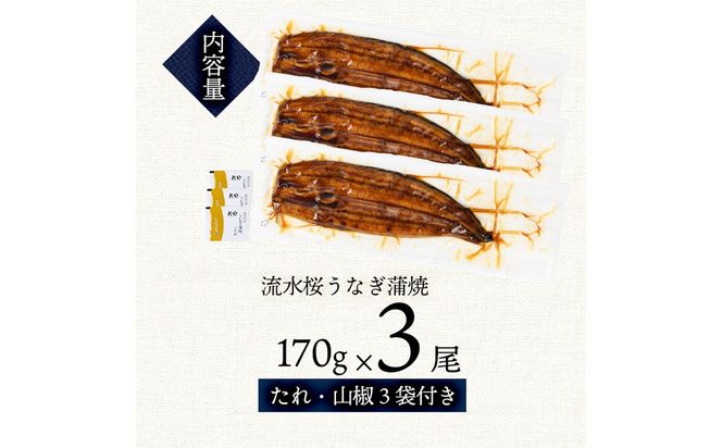 熟練の技が冴える！うなぎの柳澤 至極うなぎ蒲焼き3尾(計510g) b2-016