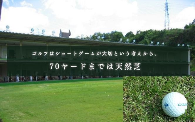 ピアゴルフガーデン　練習場利用券5500円分 piag0001-2