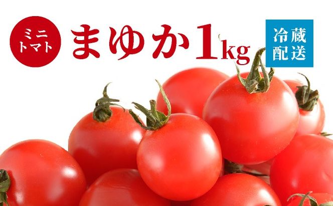 ＜先行予約＞北海道伊達産 ミニトマト まゆか 1kg【55250941】とまと 甘い 野菜 やさい 人気 新鮮 産地直送 農家直送 先行受付