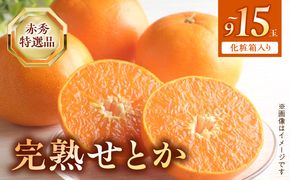 BF6048n_【2027年先行受付】完熟 せとか 赤秀 特選品 9～15玉 化粧箱