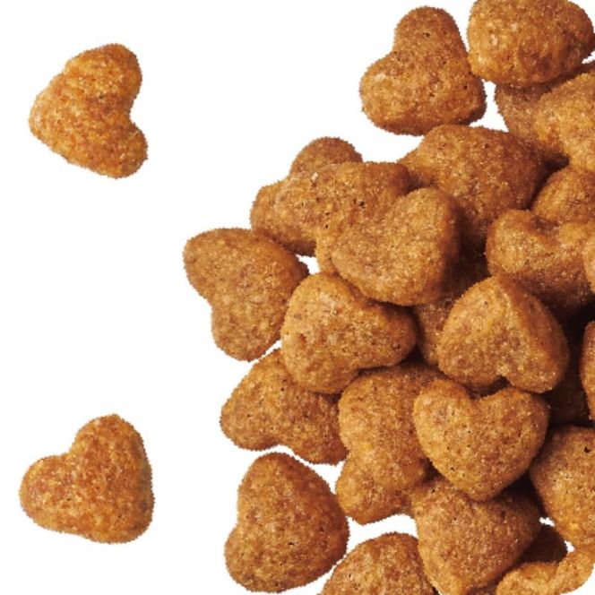 ビューティープロ ドッグ 子犬用 12ヵ月頃まで 720g ケース販売 ペットフード 犬 愛犬 ペット ペット用品 犬用 愛犬用 子犬用 ごはん 静岡 袋井市