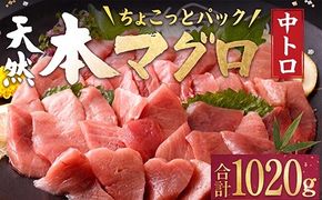 天然本マグロ 中とろ 切落し お手軽 ちょこっとパック 60g×17パック 合計1020g 食べきりサイズ 本マグロ 中とろ 切り落とし マグロ 鮪 クロマグロ 海産物 魚 刺身 さしみ 漬丼 漬け丼 お手軽 おかず 海鮮丼 魚介類 魚介 海鮮 小分け 簡単解凍 調理 惣菜 訳あり 規格外 父の日 高知県 不揃い 中トロ 冷凍 高知県 室戸市