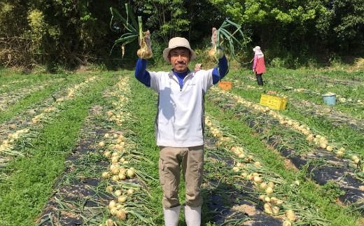 【先行受付】 有機JAS 新玉ねぎ 5kg 玉ねぎ 新たまねぎ 玉葱 たまねぎ 新玉 新玉葱 野菜【2027年3月上旬から4月上旬発送予定】