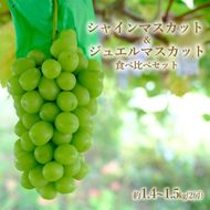 【先行予約】磐梯町産 シャインマスカット＆ジュエルマスカットの食べ比べセット 約1.4～1.5kg（2房）※2026年9月～10月発送予定　大粒 種無し