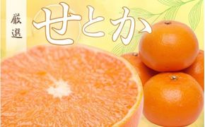 ＜2月より発送＞厳選 せとか5kg+250g（傷み補償分）【柑橘・春みかんの王様】【光センサー選果・食べ頃出荷】【ikd205C】