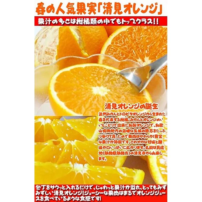 【ご家庭用訳アリ】紀州有田産清見オレンジ　5kg