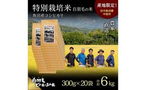 【通年受付】≪令和8年産≫ 農家直送！魚沼産コシヒカリ特別栽培「白羽毛の米」精米 (300g×20袋) 6kg