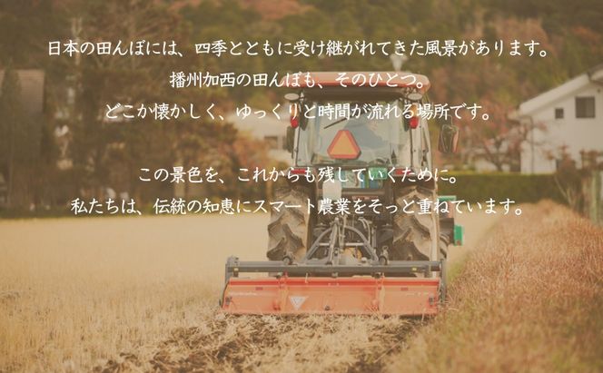 食べたいお米 Alatana 米 「一ツ星」 白米 5kg 精米 お米