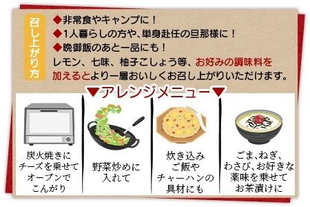 ＜鶏の炭火焼（100g×1パック）＞2024年11月に順次出荷【 肉 鶏 鶏肉 炭火焼 炭火焼き 国産 国産鶏肉 宮崎県産鶏肉 常温 常温鶏肉 鶏肉おかず 鶏肉おつまみ 焼き鳥 手焼き 惣菜 お試し キャンプ アウトドア 】【a0679_ty_x3-nov】