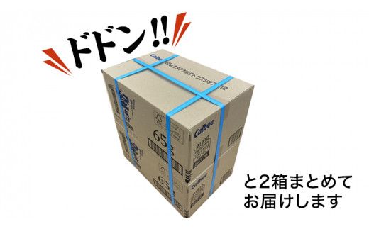 カルビー 堅あげポテト うすしお味 24袋 ( 2ケース ) 65g ポテチ お菓子 おかし 大量 スナック おつまみ ジャガイモ じゃがいも まとめ買い 数量限定 [DA015us]