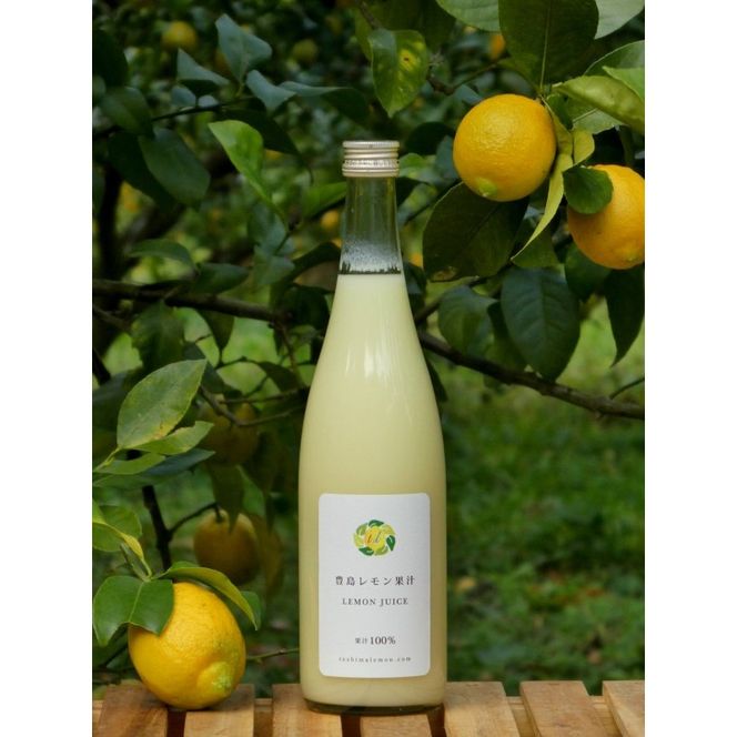 豊島レモン果汁 720ml×6本 果物類 柑橘類 檸檬
