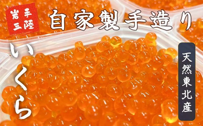 【2025年12月より発送】いくら 醤油漬け 200g～500g (100g×2個～5個)【15】