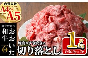 おおいた和牛 切り落とし (計1kg ・500g×2P) 国産 牛肉 肉 霜降り A4 A5 黒毛和牛 すき焼き しゃぶしゃぶ 焼肉 和牛 豊後牛 ブランド牛 冷凍【HE01】【(株)吉野】