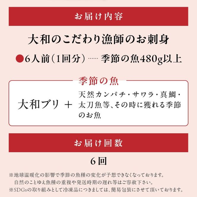 【6ヶ月定期便】大和海商 大和のこだわり漁師のお刺身　6人前 N072-YE080_2