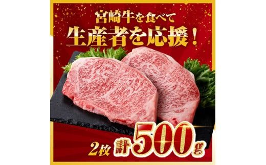 ※最速便※ 生産者応援！宮崎牛ロースステーキ2枚　計500g 肉 牛肉 宮崎県産 黒毛和牛 [C00604 C00608]