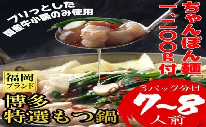 もつ鍋 福岡ブランド 博多特選もつ鍋(プリプリの国産牛小腸のみ使用 7～8人前・醤油味)