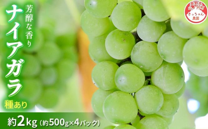 【2026年9月～発送】種ありナイアガラ 約2kg 安心安全 こだわりの栽培方法 除草剤不使用 栽培期間中 ネオニコチノイド系農薬不使用 化学合成肥料不使用
