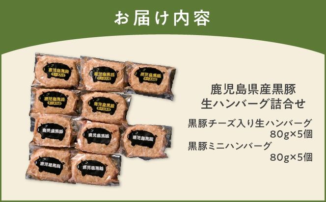 鹿児島県産黒豚 生ハンバーグ詰合せ　K356-005