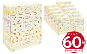 エリエール i:na（イーナ）petitティシュー 　150W5P×12パック ボックス ティッシュ ペーパー ボックス ティッシュ 箱ティッシュ【0095-015】