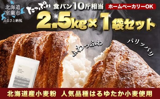 ykCszkCY ͂䂽uh Vo[CYipp͕j2.5kg MROBI013