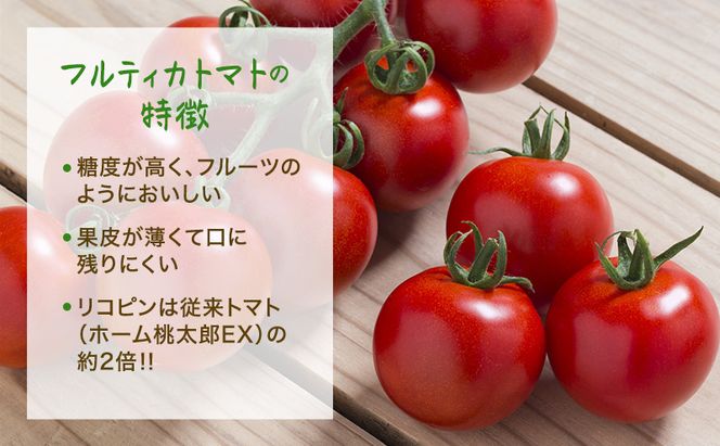 トマト 桜ファーム の 中玉トマト フルティカ 1.5kg とまと おいしい 箱入り ボックス 安心安全 農家直送 樹上完熟 ジュース ピューレ ソース ペースト 野菜