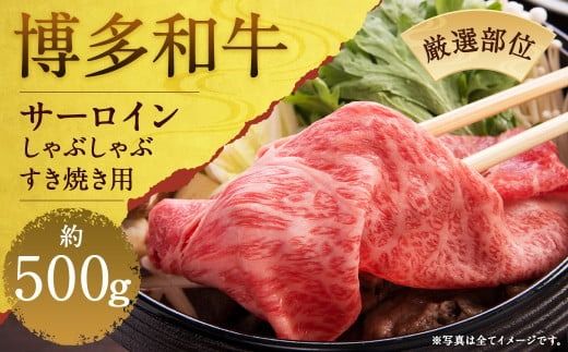 yÖszyIʁzaT[CԂԂĂp 500g