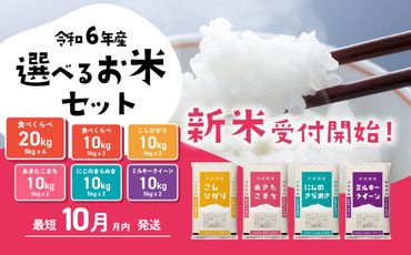 選べるお米10kg 5kgx2袋 20kg 5kg×4袋 令和6年産 新米 10月発送 先行予約 こしひかり あきたこまち にじのきらめき ミルキークイーン 食べ比べ 白米 精米 茨城県 八千代町 [SF008ya_SF017ya]