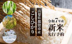 【令和７年産新米・予約】山梨県都留市産こしひかり 選べる容量[5kg・10kg] FB038.FB039