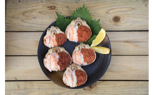 セイコガニ甲羅盛Sサイズ　5個セット　SK00125