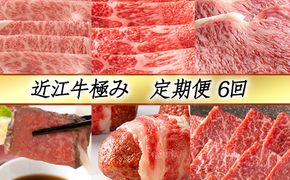【定期便6回】【カネ吉山本】近江牛極み定期便-禄-【Y132W】（国産牛　和牛　ブランド牛　ブランド和牛　黒毛和牛　牛肉　肉　高級　人気　おすすめ　神戸牛　松阪牛 に並ぶ 日本三大和牛 近江牛）