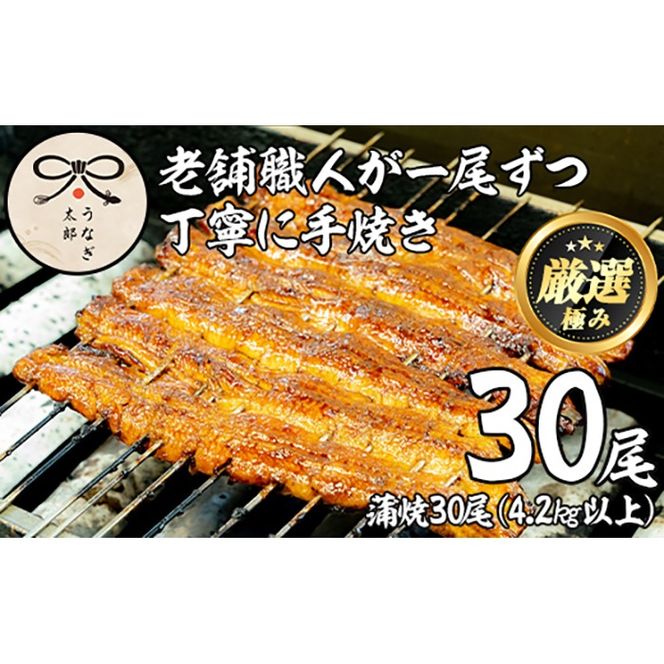 y̑Sǒzy3903717azeʁIYǒ̂Ȃ(30Ev4.2kgȏE`̃^t) Ȃ  EiM V Y  Ă   yȂYz