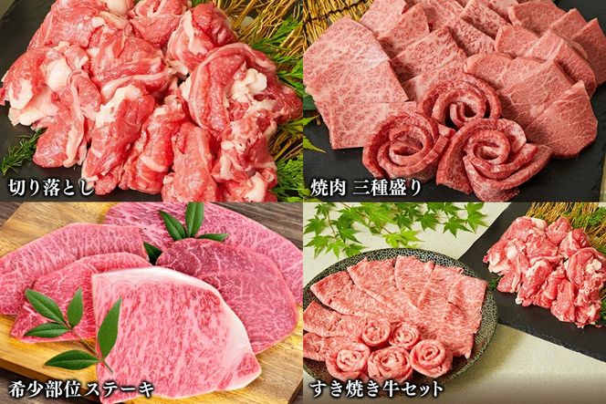 【スピード発送】【4回定期便】 佐賀牛 まるごと欲張り お楽しみ便（合計3kg） 【希少 国産和牛 牛肉 肉 ヒレ サーロイン ロース ステーキ 特選 すき焼き】(H085146)