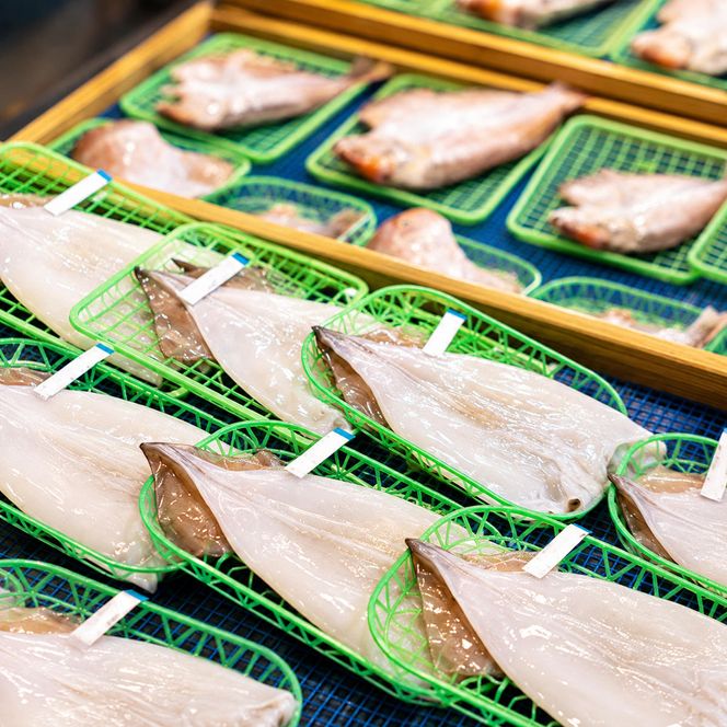 丹後のお魚屋さん一押しの絶品レンコダイの一夜干し 海鮮 おつまみ 干物 美味しい ご飯のお供 魚貝類 加工食品  myz02 myz11 myz17
