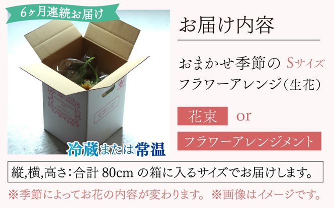 【定期便6回】母の日アレンジok おまかせ季節のフラワーアレンジ（生花）Ｓサイズ×6ヶ月【母の日申込期日：4/26（日）まで】【母の日発送予定日：～5/11（月）まで】お好み 日時指定可能