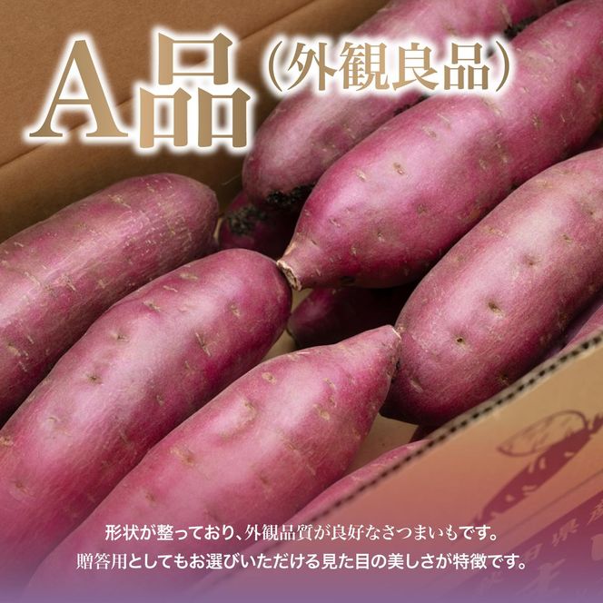 【先行予約】 にかほ市 象潟町 大須郷産「 さつまいも 2ヶ月 熟成 紅はるか 10kg 」【 産地直送 国産 芋 おいも 定番 焼き芋 イモ 野菜 長期熟成 秋田県 にかほ】