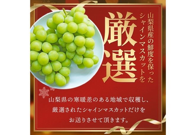 【クリスマスに届く】ジューシーで甘さ抜群　厳選シャインマスカット500g 【2025年12月発送】期間限定 シャインマスカット ぶどう シャイン フルーツ 果物 山梨 富士吉田