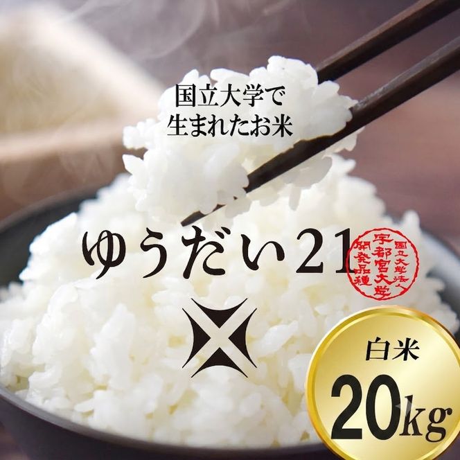 TVでも話題のお米 ゆうだい21 ＼令和8年産／ 米 20kg 精米 白米 「ゆうだい21」【数量限定】あい farm やなぎのお米 令和8年産 ゆうだい21 お米 白米 米 20キロ コメ ご飯 ごはん 栃木県 益子町 ふるさと納税 (DQ006-2)