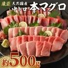 【数量限定】 厳選 天然 本マグロ 中トロ 500g 以上 国産 魚 鮮魚 マグロ 刺身 刺し身 漬け丼 海鮮丼 おかず 魚介類 海鮮 海産物 まぐろ 本まぐろ 鮪 ブロック 500グラム 惣菜 冷凍 美阿丸 高知県 室戸市