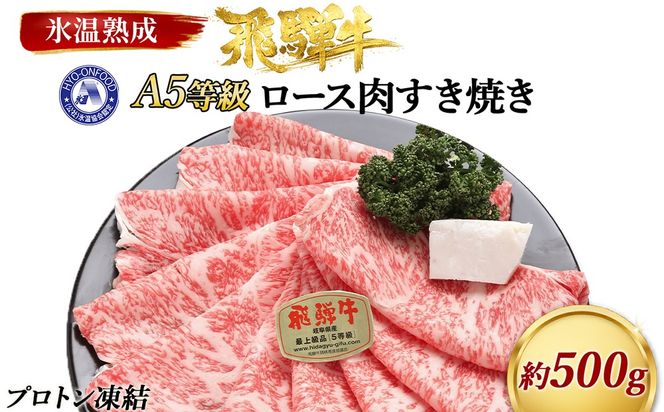 約500gロース肉すき焼き【11月中旬から発送開始】　氷温（R）熟成　飛騨牛A5等級　プロトン凍結 [No.524]