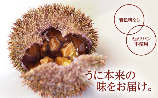 北海道 礼文島産  蝦夷バフンウニ 折詰 200g×2 [ ウニ 魚貝類 雲丹 うに バフンウニ バフン ]  