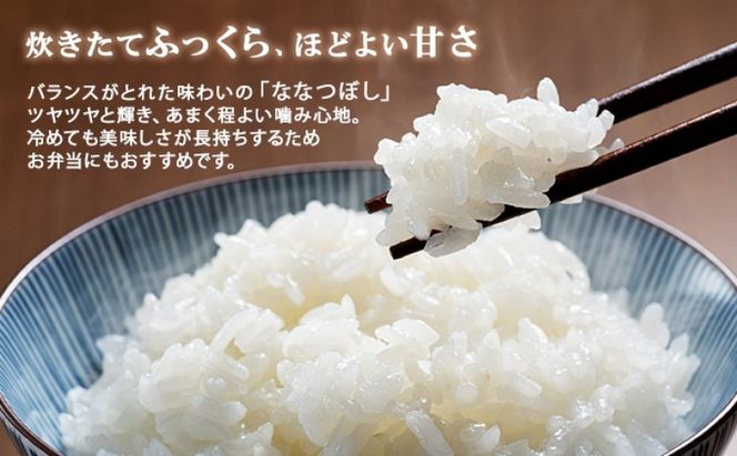 定期便 隔月3回 北海道産 ななつぼし 精米 15kg 米 特A 白米 お取り寄せ ごはん 15キロ 5kg ×3袋 道産米 ブランド米 まとめ買い お米 ようてい農業協同組合 ホクレン 送料無料 北海道 倶知安町
