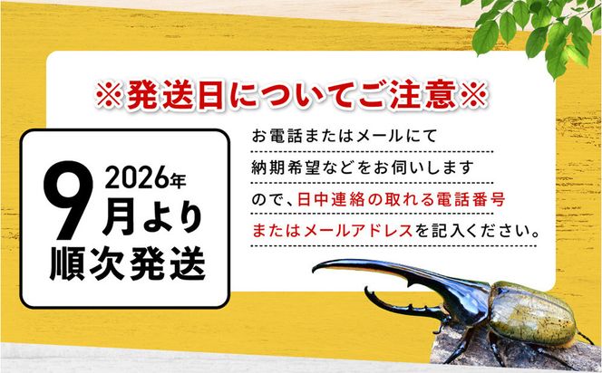 【先行予約】ヘラクレスオオカブト3令幼虫ペア ※育て方の説明書付き※配送不可地域あり【2026年9月から順次発送】 304018_CW003