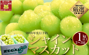 【2026年発送分 先行予約】頬張る幸福感　～緑の宝石・ シャインマスカット ～ １ｋｇ以上（２～３房） フルーツ 山梨県産 果物 くだもの シャイン マスカット ぶどう ブドウ 葡萄 大粒 種なし 先行予約 富士川町 10000円 一万円 9000円 九千円